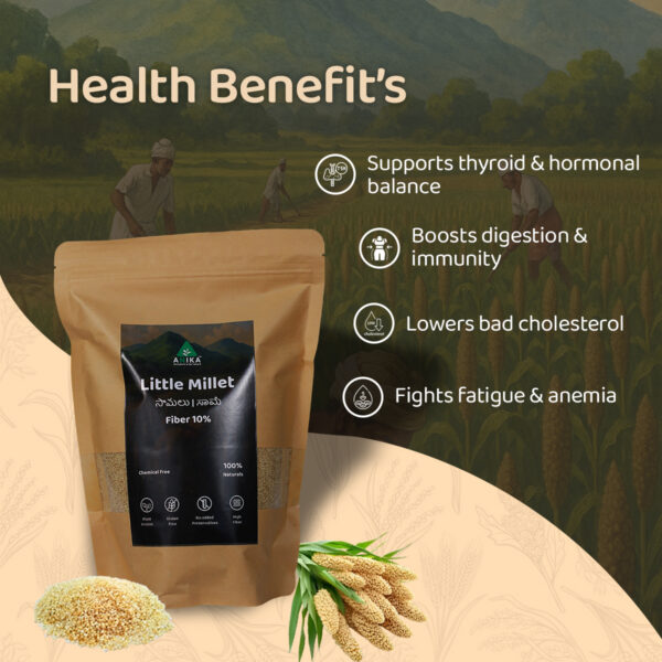 Little Millet (Samalu)