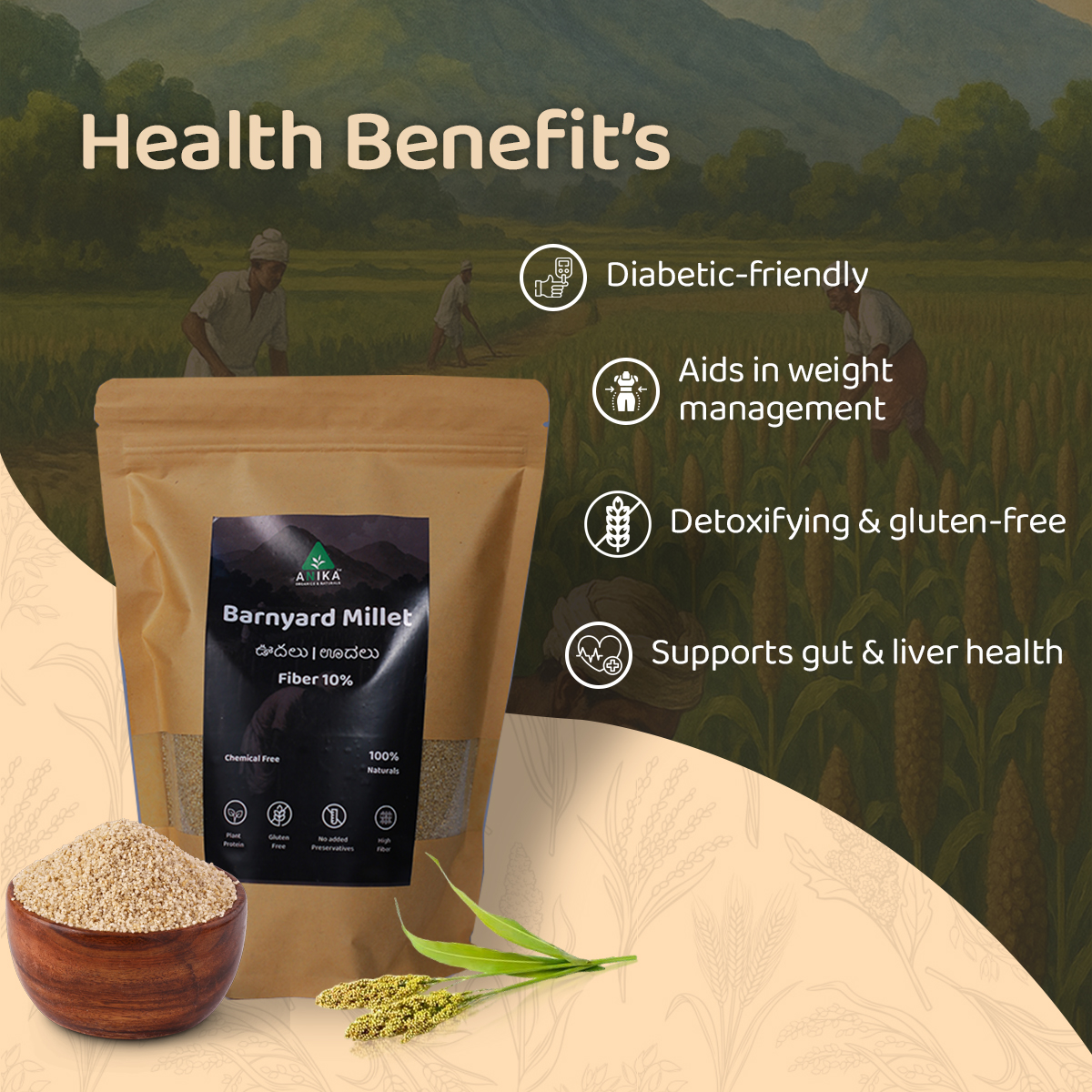 Barnyard Millet (Sanwa/Sama) - Image 4