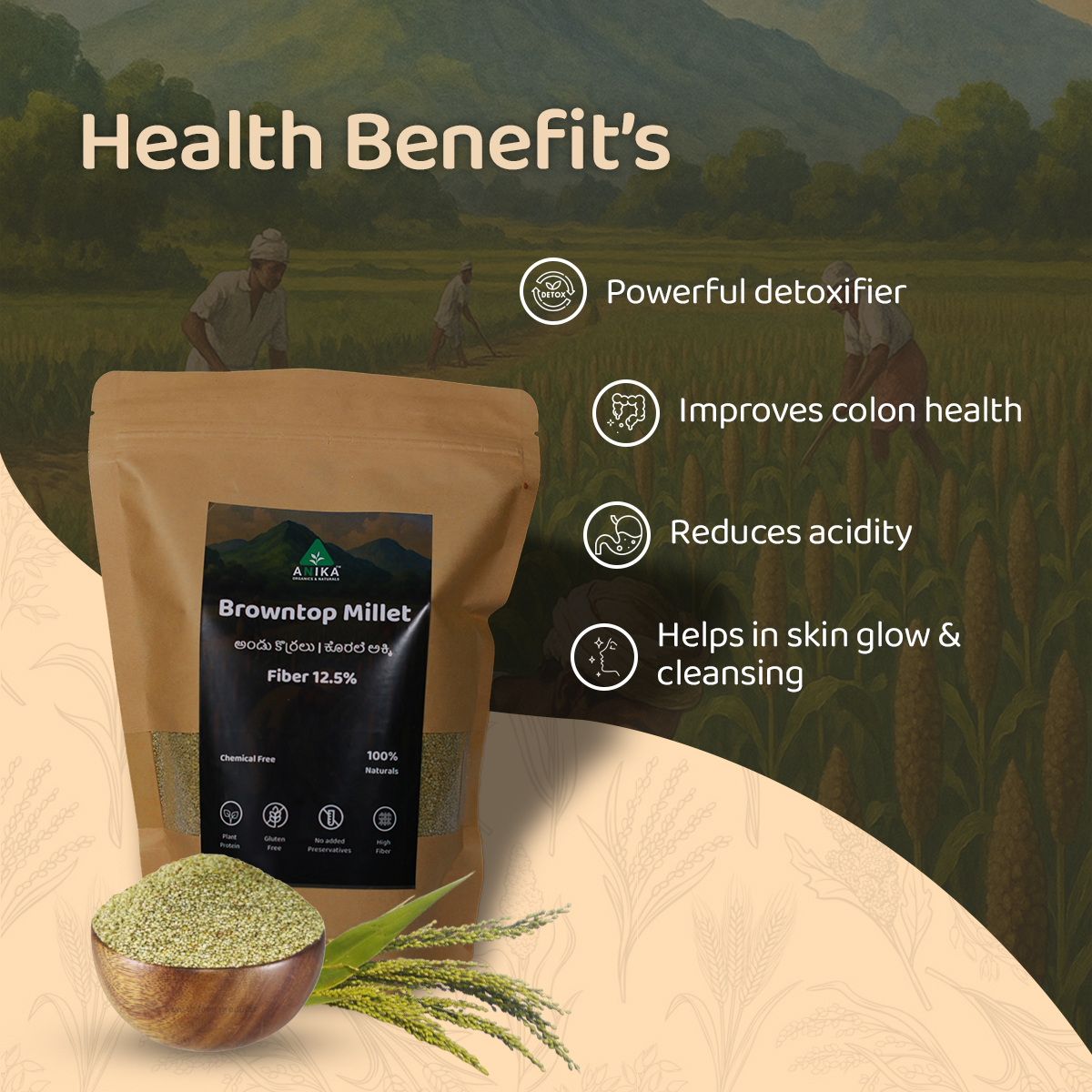 Browntop Millet (Andu Korralu) - Image 4