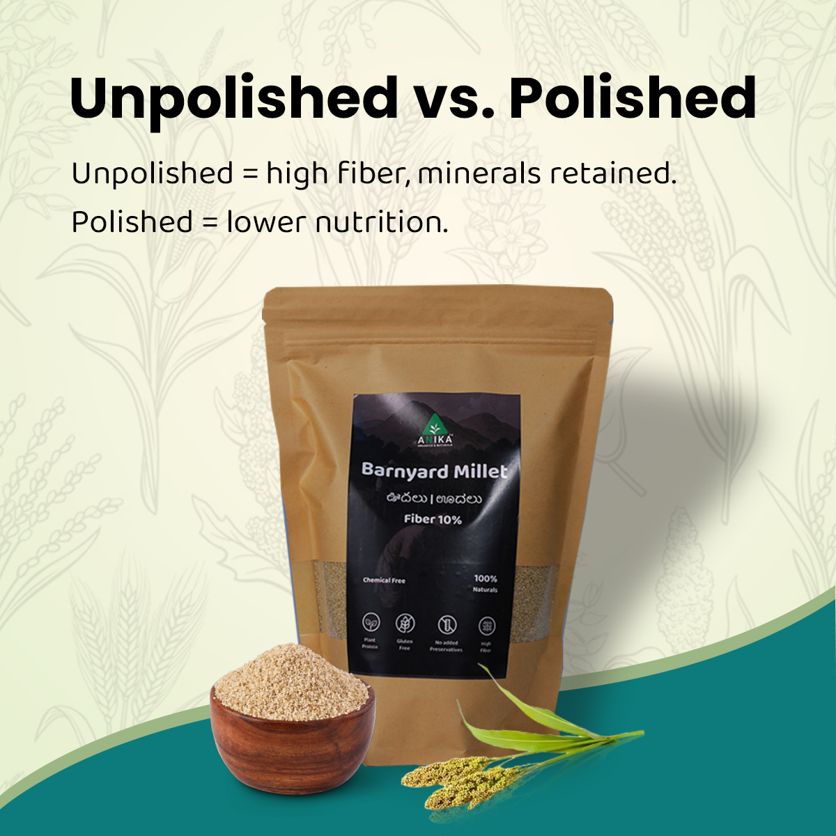 Barnyard Millet (Sanwa/Sama) - Image 5