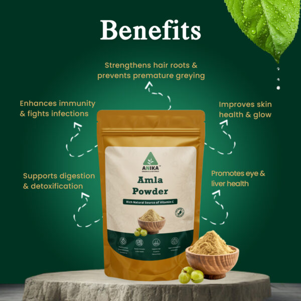 Amla Powder